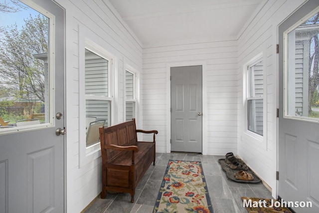doorway to outside with wood walls