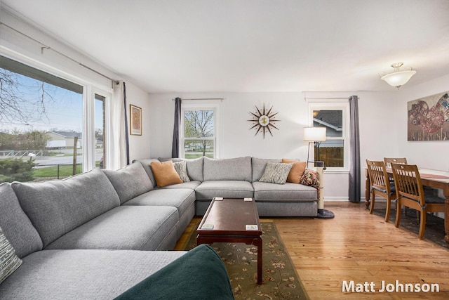 living area featuring light wood finished floors