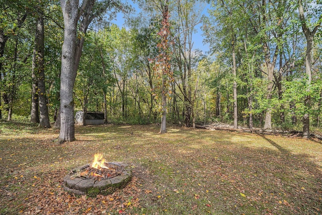44811 Paw Paw Rd, Paw Paw, MI 49079 - view of yard with an outdoor fire pit and a forest view