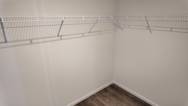 walk in closet featuring dark wood-type flooring