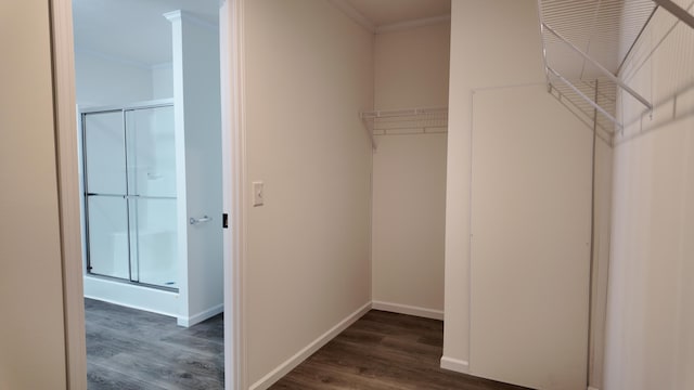 spacious closet with wood finished floors