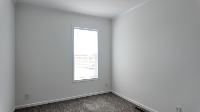 spare room featuring a wealth of natural light, baseboards, and ornamental molding