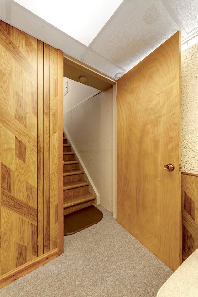 stairway with carpet flooring