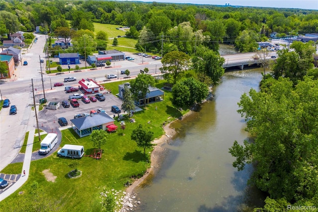 26015 E Huron River Dr, Flat Rock, MI 48134 - bird's eye view of a large body of water and a heavily wooded area