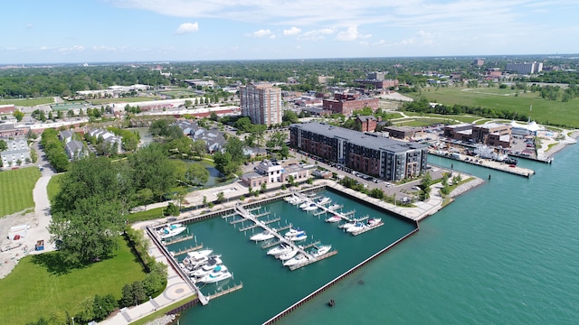 3320 Spinnaker Ln Unit 2E, Detroit, MI 48207 - aerial view of numerous boat docks and a large body of water