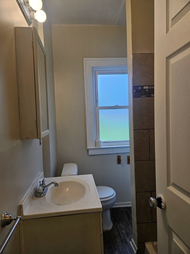 bathroom with toilet, wood finished floors, and vanity