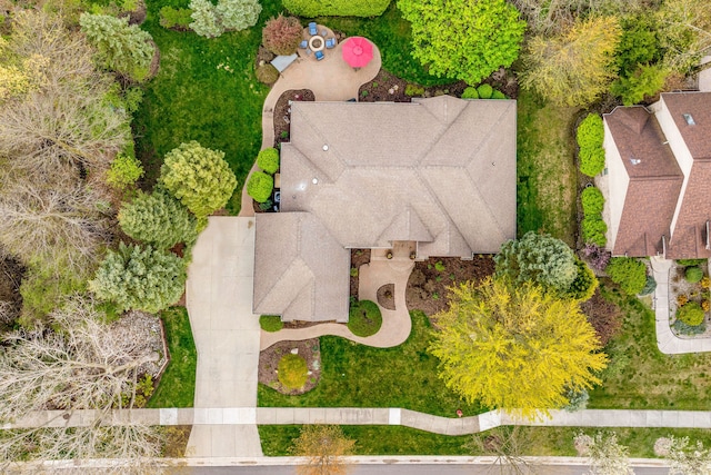 bird's eye view