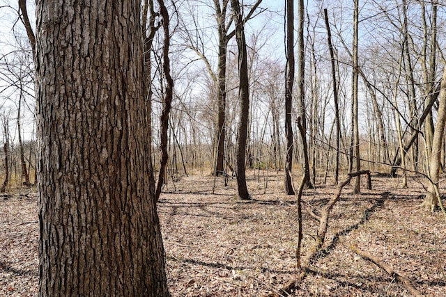 11840 Schreiner Rd, Bellevue, MI 49021 - view of landscape