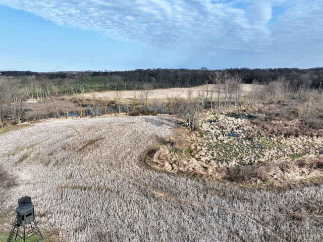 view of local wilderness featuring a rural view