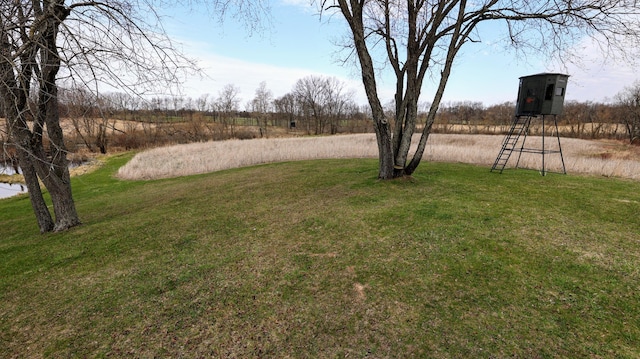 11840 Schreiner Rd, Bellevue, MI 49021 - view of yard
