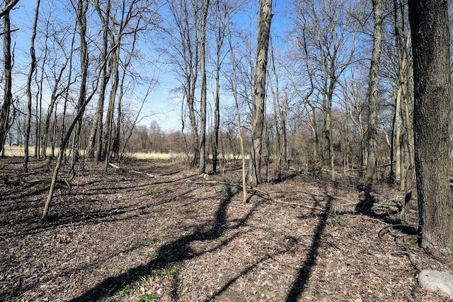 11840 Schreiner Rd, Bellevue, MI 49021 - view of nature with a wooded view