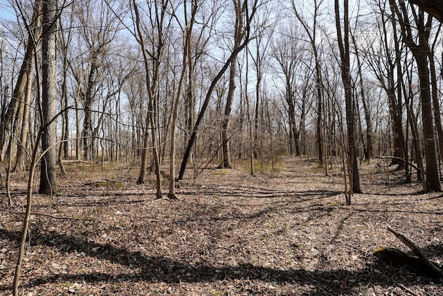 view of nature