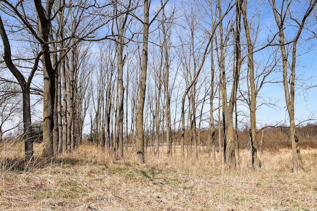 11840 Schreiner Rd, Bellevue, MI 49021 - view of nature