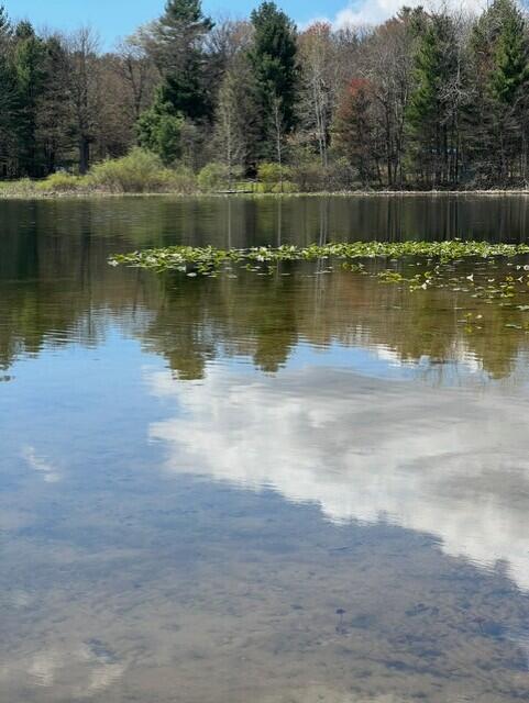 property view of water featuring a forest view