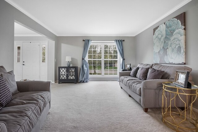 2435 Ivy Hill Dr, Commerce Twp, MI 48382 - carpeted living area with baseboards and ornamental molding