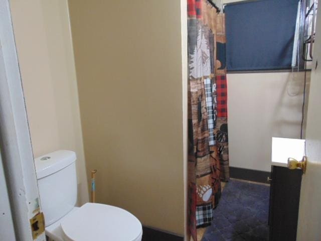 bathroom with toilet, vanity, and a shower with curtain