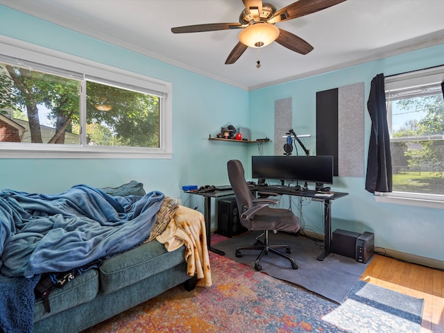 bedroom with multiple windows, crown molding, wood finished floors, an office area, and a ceiling fan