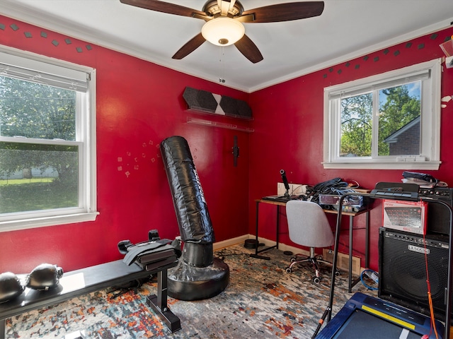 exercise area with crown molding and ceiling fan