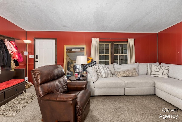 16617 W Stanton Rd, Pierson, MI 49339 - living area featuring a textured ceiling and carpet