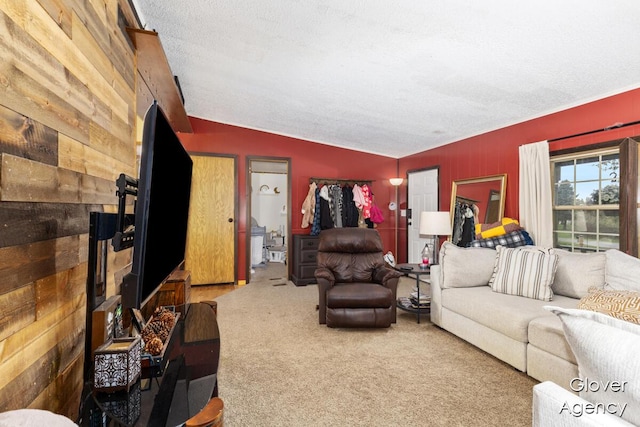 16617 W Stanton Rd, Pierson, MI 49339 - carpeted living area featuring wood walls, a textured ceiling, and vaulted ceiling