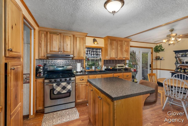 16617 W Stanton Rd, Pierson, MI 49339 - kitchen featuring a sink, stainless steel gas stove, under cabinet range hood, light wood finished floors, and backsplash