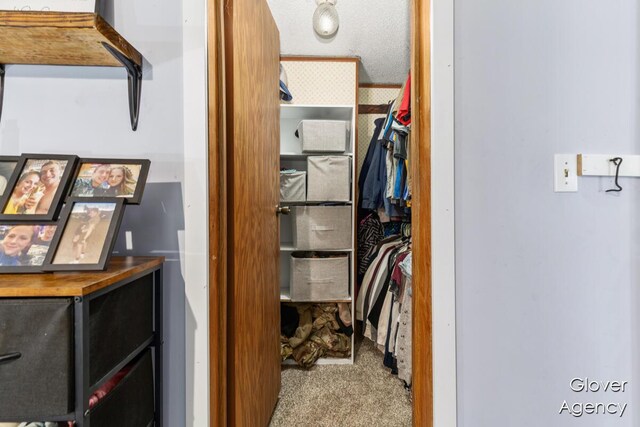 16617 W Stanton Rd, Pierson, MI 49339 - spacious closet with carpet