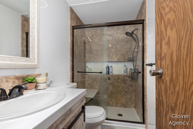 16617 W Stanton Rd, Pierson, MI 49339 - full bathroom featuring a shower stall, vanity, and toilet