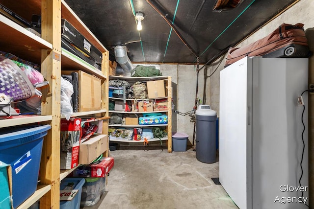16617 W Stanton Rd, Pierson, MI 49339 - view of storage
