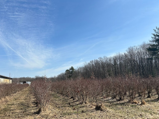 6080 Jensen Rd, Fruitport, MI 49415