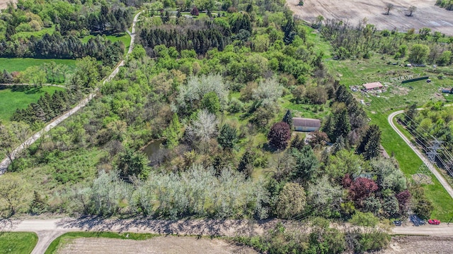 drone / aerial view