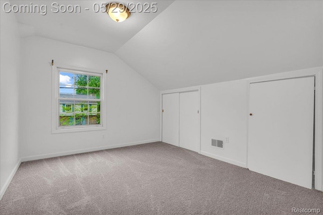 4800 Bishop St, Detroit, MI 48224 - additional living space featuring carpet flooring, lofted ceiling, and baseboards