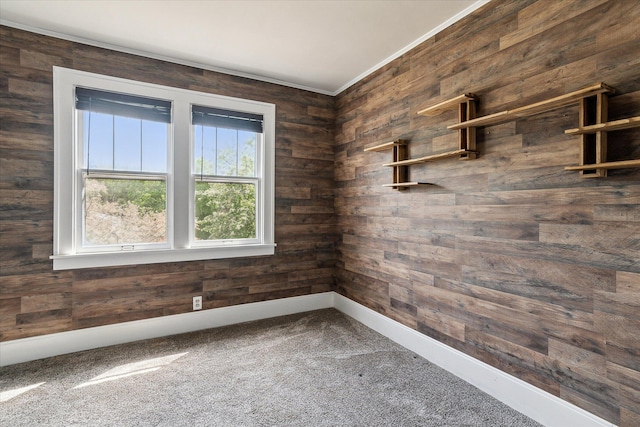 spare room with carpet flooring, wooden walls, and baseboards