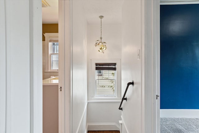 staircase with baseboards and a healthy amount of sunlight