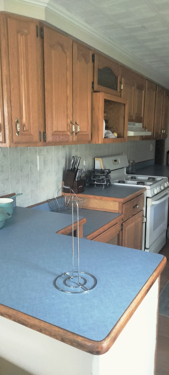 kitchen with white gas range, brown cabinetry, and under cabinet range hood
