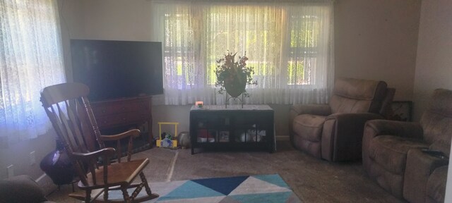 view of carpeted living area