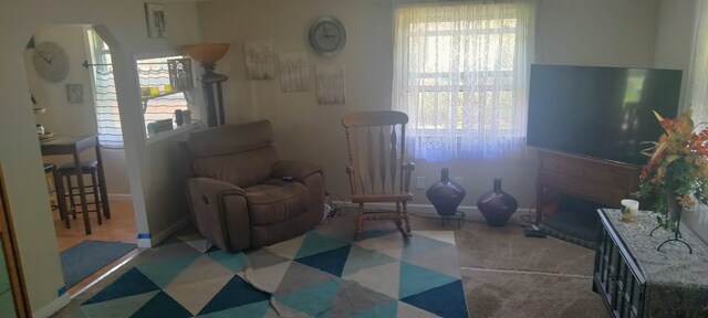 living area with healthy amount of natural light and baseboards
