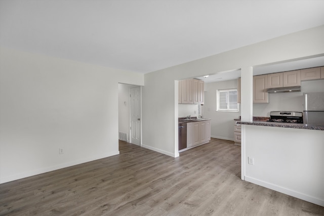 kitchen with stainless steel appliances, under cabinet range hood, light wood-style floors, and baseboards