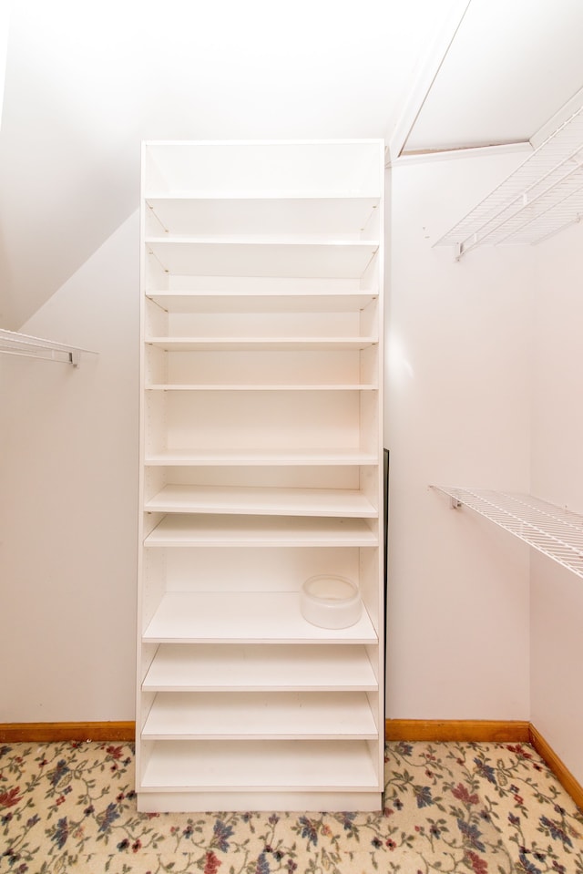 view of walk in closet