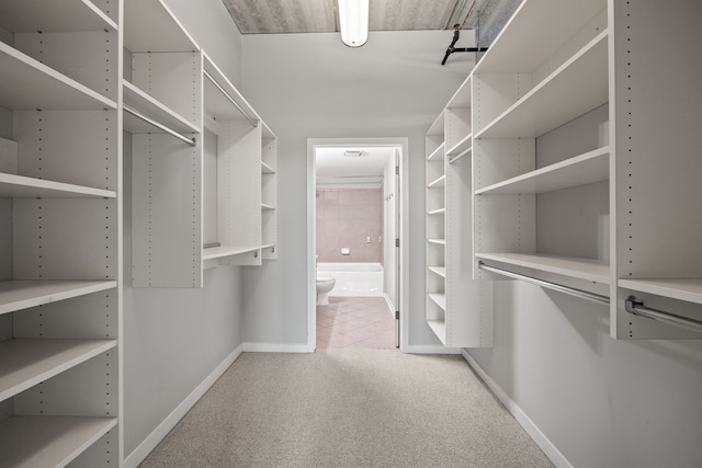 101 Curry Ave Unit 610, Royal Oak, MI 48067 - spacious closet featuring light colored carpet