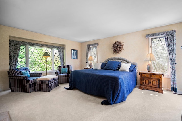 3603 Creekside Dr, Ann Arbor, MI 48105 - view of carpeted bedroom
