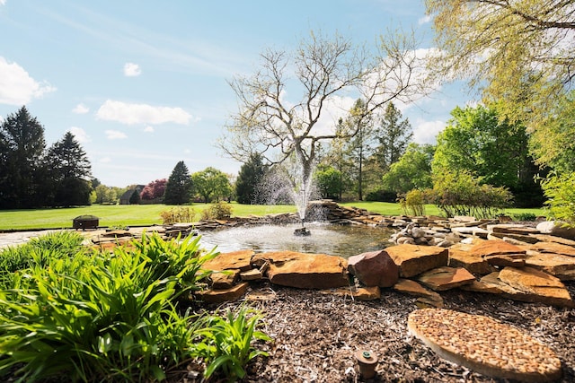 3603 Creekside Dr, Ann Arbor, MI 48105 - view of yard with a small pond