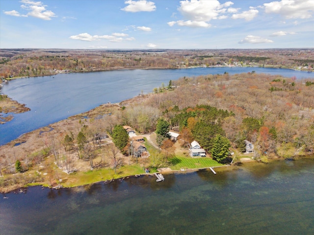 10458 Sleepy Hollow Ln, Mecosta, MI 49332 - aerial view of property's location featuring a nearby body of water and a forest