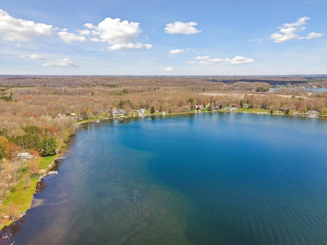 10458 Sleepy Hollow Ln, Mecosta, MI 49332 - drone / aerial view of a large body of water