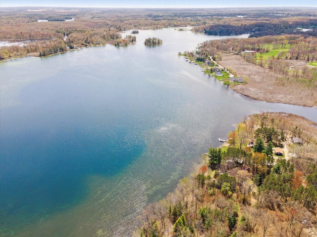 10458 Sleepy Hollow Ln, Mecosta, MI 49332 - drone / aerial view of a nearby body of water