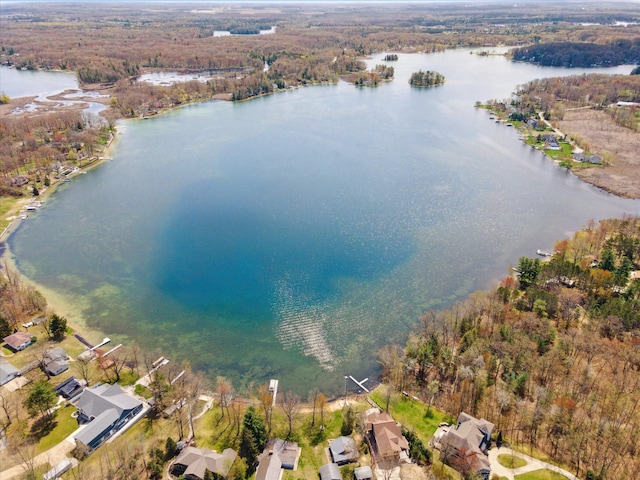 10458 Sleepy Hollow Ln, Mecosta, MI 49332 - view of property location with a large body of water, a forest, and nearby suburban area