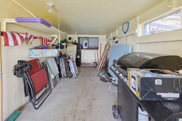 10458 Sleepy Hollow Ln, Mecosta, MI 49332 - garage with water heater and concrete block wall