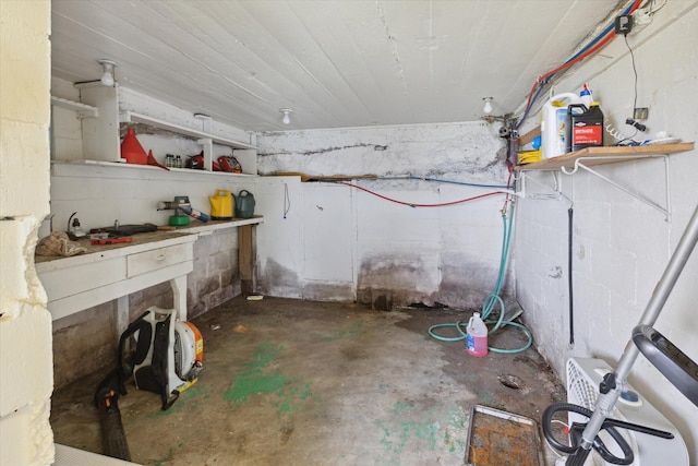 10458 Sleepy Hollow Ln, Mecosta, MI 49332 - view of basement