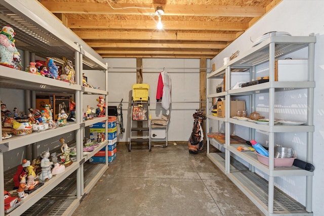 10458 Sleepy Hollow Ln, Mecosta, MI 49332 - view of storage area