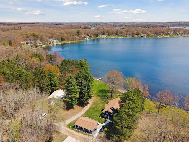 10458 Sleepy Hollow Ln, Mecosta, MI 49332 - bird's eye view of a nearby body of water and a forest