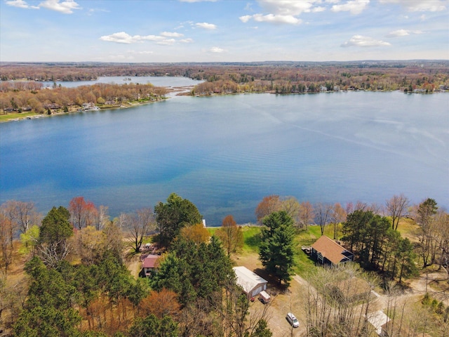 10458 Sleepy Hollow Ln, Mecosta, MI 49332 - aerial view of a large body of water
